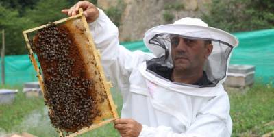 Anzer balının fiyatı belli oldu! Bin 200 TL'den satılacak