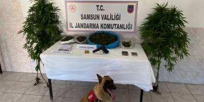 23 yıl 7 ay hapis cezası bulunan şahıs ahırda yakalandı - samsun haber