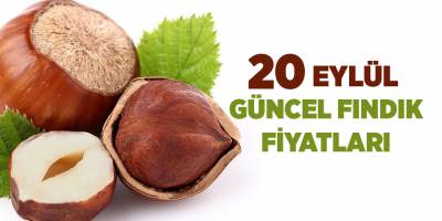 20 Eylül güncel fındık fiyatları