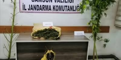 Samsun’da jandarma 2 kilo uyuşturucu madde ele geçirdi - samsun haber