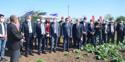 Bakanlıktan Bafra’da tarla okulu çalışması - samsun haber