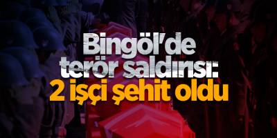 Bingöl'de terör saldırısı: 2 işçi şehit oldu