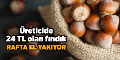 Üreticide 24 TL olan fındık rafta el yakıyor