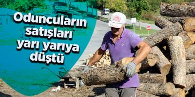 Oduncuların satışları yarı yarıya düştü - samsun haber