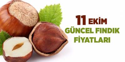 11 Ekim güncel fındık fiyatları