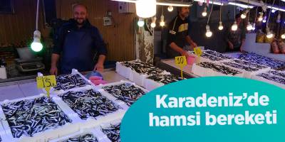Karadeniz’de hamsi bereketi