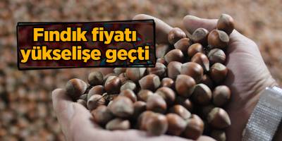 Fındık fiyatı yükselişe geçti