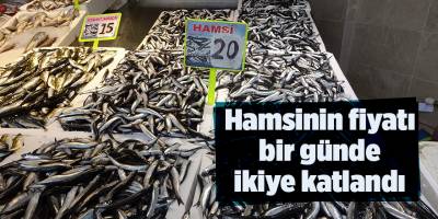 Hamsinin fiyatı bir günde ikiye katlandı