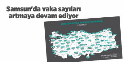 Samsun'da vaka sayıları artmaya devam ediyor - samsun haber