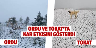 Ordu ve Tokat'ta kar etkisini gösterdi