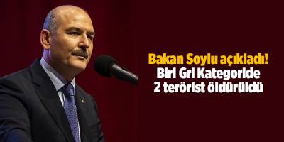 Bakan Soylu açıkladı! Biri Gri Kategoride 2 terörist öldürüldü