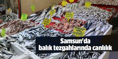 Samsun'da balık tezgahlarında canlılık - samsun haber