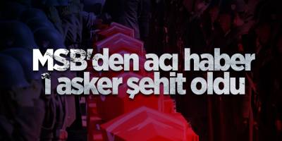 MSB'den acı haber! 1 asker şehit oldu
