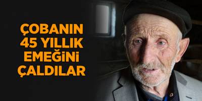 Çobanın 45 yıllık emeğini çaldılar