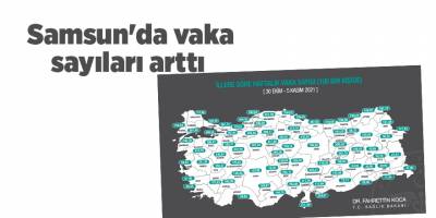Samsun'da vaka sayıları arttı - samsun haber