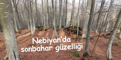 Nebiyan’da sonbahar güzelliği
