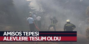 Amisos Tepesi alevlere teslim oldu
