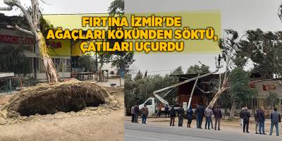 Fırtına İzmir'de ağaçları kökünden söktü, çatıları uçurdu