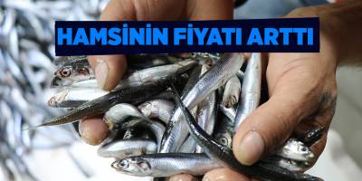 Hamsinin fiyatı arttı