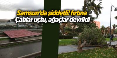 Samsun’da şiddetli! fırtına  Çatılar uçtu, ağaçlar devrildi - samsun haber
