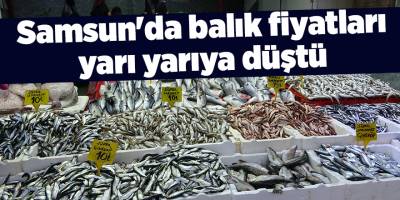 Samsun'da balık fiyatları yarı yarıya düştü - samsun haber