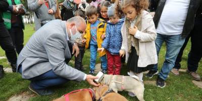 Canik Belediyesi sokak hayvanlarını yuvasız bırakmadı - samsun haber