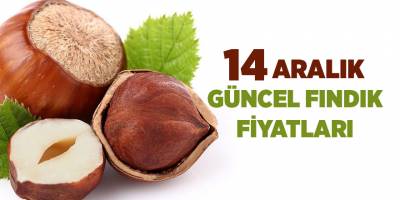 14 Aralık güncel fındık fiyatları