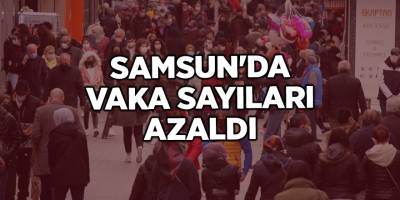 Samsun'da vaka sayıları azaldı - samsun haber