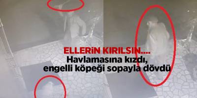 Ellerin kırılsın.... Havlamasına kızdı, engelli köpeği sopayla dövdü