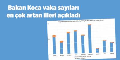 Bakan Koca vaka sayıları en çok artan illeri açıkladı