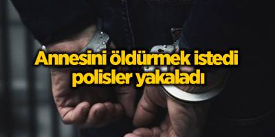 Annesini öldürmek istedi polisler yakaladı