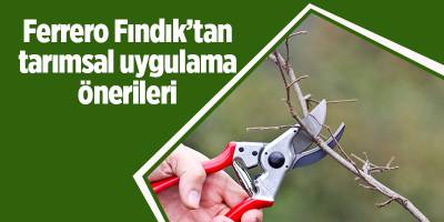 Ferrero Fındık’tan tarımsal uygulama önerileri