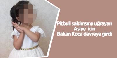 Pitbull saldırısına uğrayan Asiye için Bakan Koca devreye girdi
