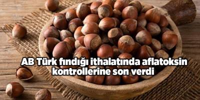 AB Türk fındığı ithalatında aflatoksin kontrollerine son verdi