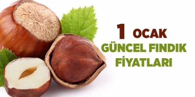 1 Ocak güncel fındık fiyatları