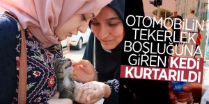Otomobilin tekerlek boşluğuna giren kedi kurtarıldı