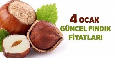 4 Ocak güncel fındık fiyatları