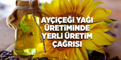 Ayçiçeği yağı üretiminde yerli üretim çağrısı