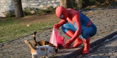 Örümcek Adam' sokak hayvanlarının kahramanı oldu
