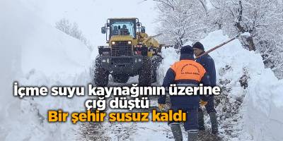 İçme suyu kaynağının üzerine çığ düştü! Bir şehir susuz kaldı