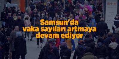 Samsun'da vaka sayıları artmaya devam ediyor - samsun haber
