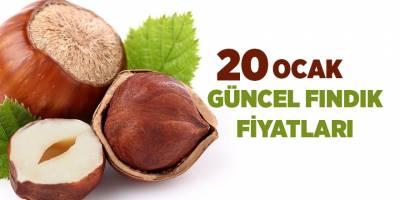 20 Ocak güncel fındık fiyatları