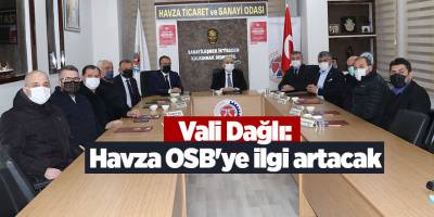 Vali Dağlı: Havza OSB'ye ilgi artacak - samsun haber