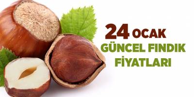 24 Ocak güncel fındık fiyatları