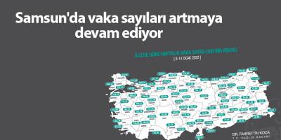 Samsun'da vaka sayıları artmaya devam ediyor - samsun haber