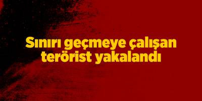 Sınırı geçmeye çalışan terörist yakalandı