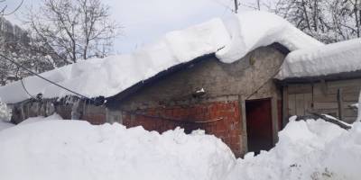 Salıpazarı'nda ahır çökmesi sonucu hayvanlar telef oldu - samsun haber
