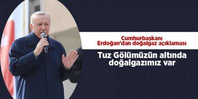 Cumhurbaşkanı Erdoğan'dan doğalgaz açıklaması