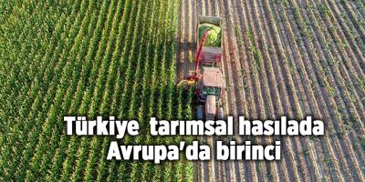 Türkiye tarımsal hasılada Avrupa'da birinci