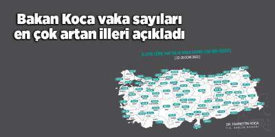 Bakan Koca vaka sayıları en çok artan illeri açıkladı